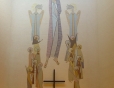Our Saviors Lutheran Church